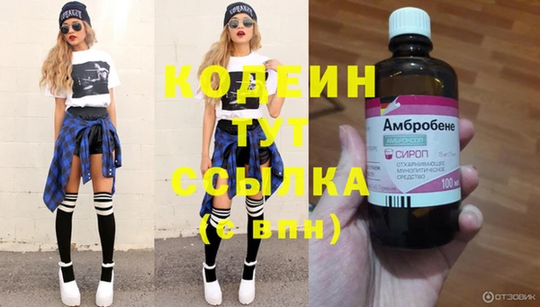 apvp Богородицк