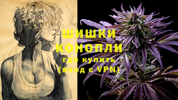 Альфа ПВП Бородино